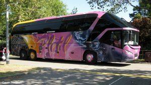 curse autocar si microbuz Alesd - Germania