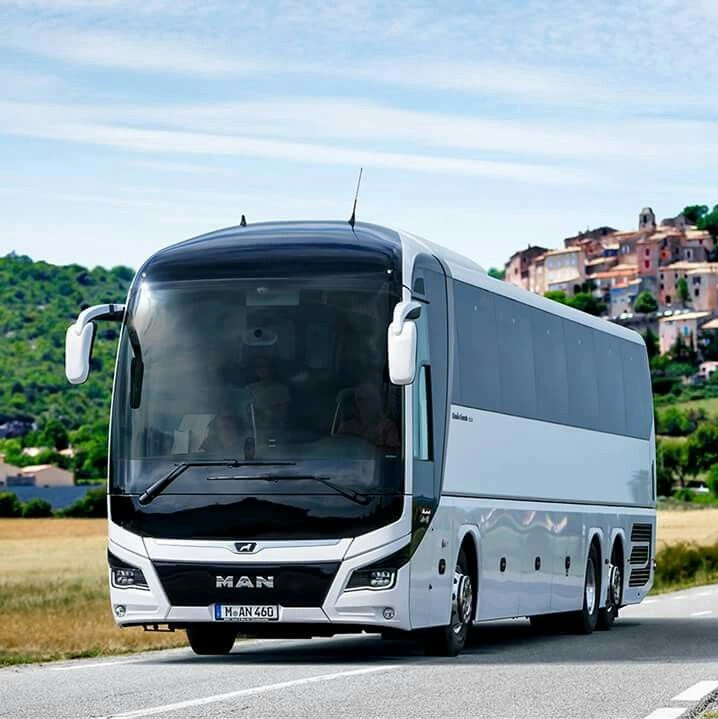 transport persoane bacau belgia